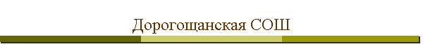Дорогощанская СОШ